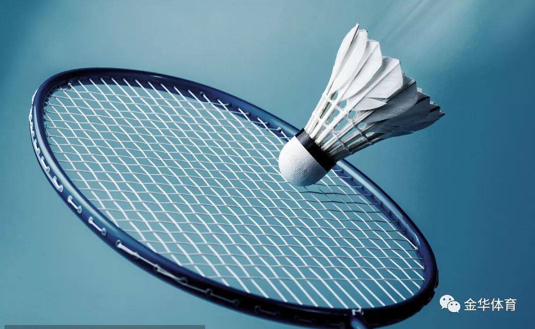 养以及团队 养以及团队