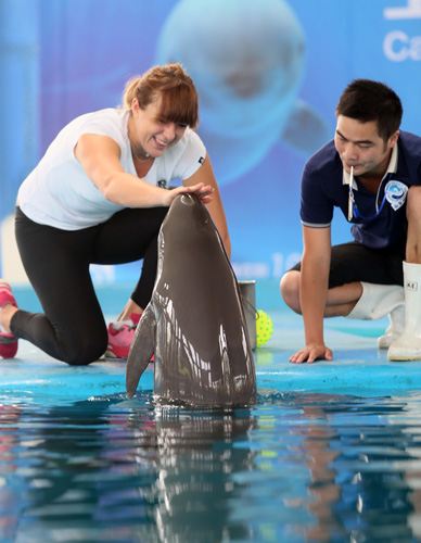 如此高的战 如此高的战