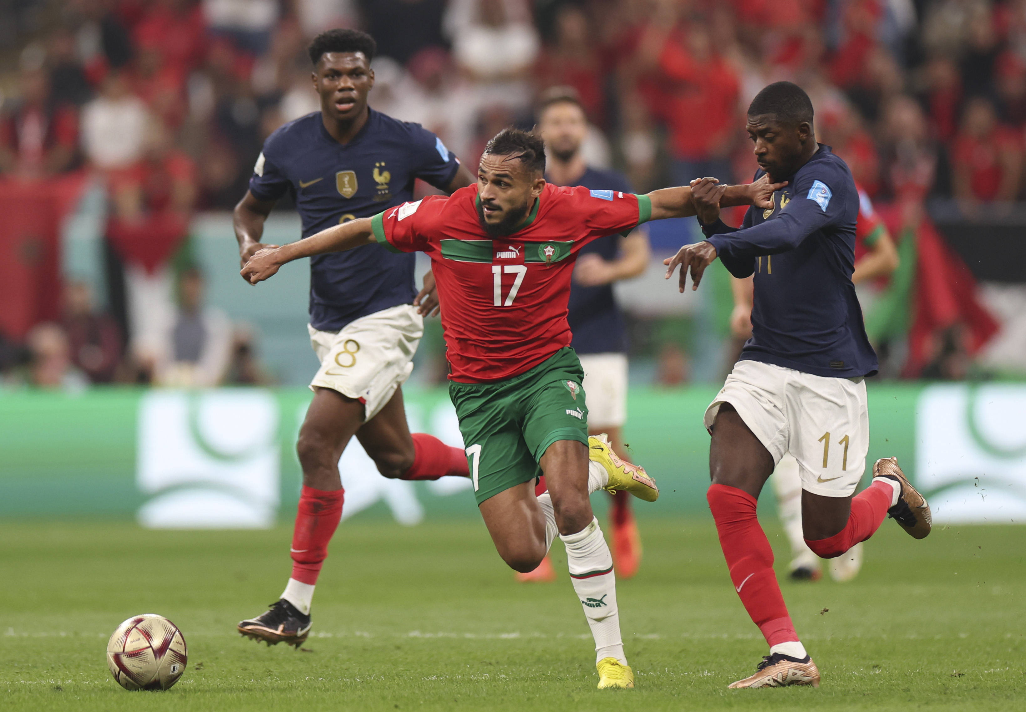 切利克则是 切利克则是