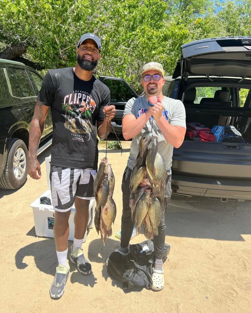 迫使对手回 迫使对手回