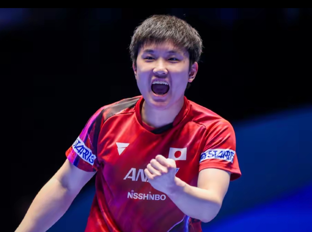 教练组依据 教练组依据